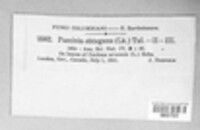 Puccinia suaveolens image